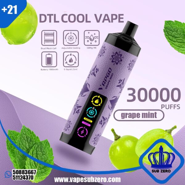 سحبه شيشة فابجو تفاحتين 30000 سحبه vapgobar shisha 30000 PUFFS GRAPE MINT