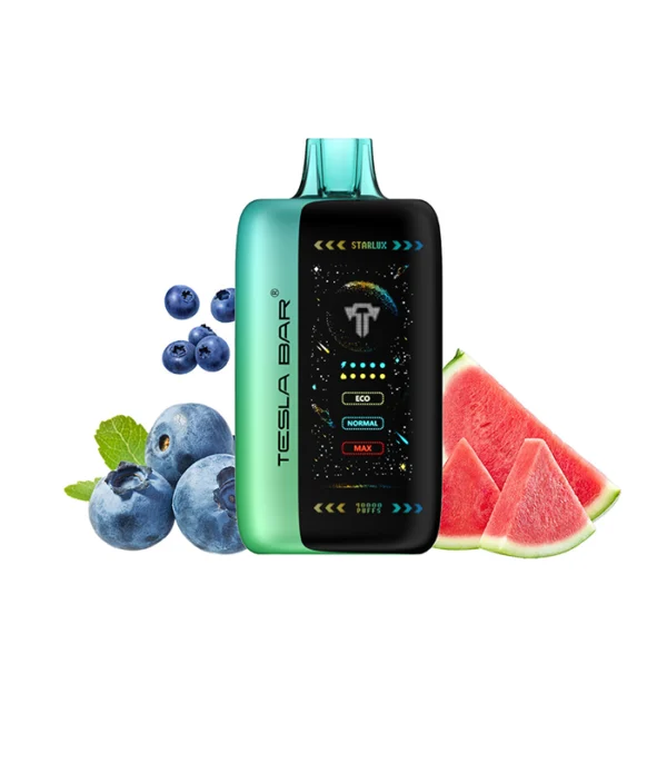 TESAL BAR  XT 40000 PUFFS BLUEBERRY WATERMELON 20MG